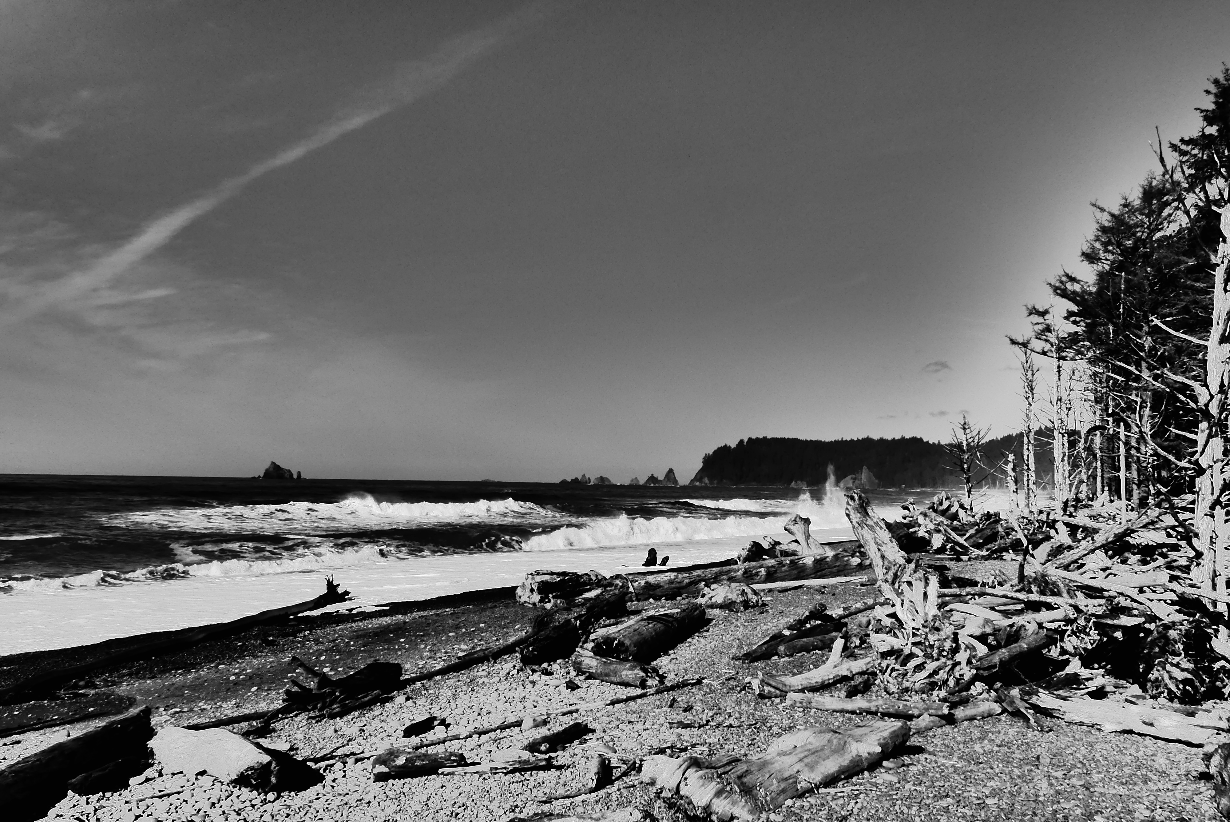 Rialto Beach (75).JPG